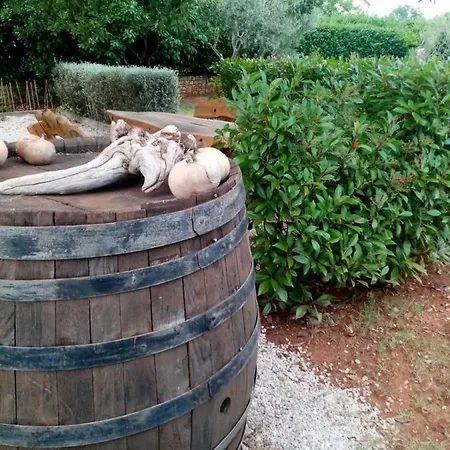 Perci Vrh Apartment *