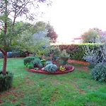 Perci Vrh